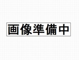 ラシックス　40mg 720錠